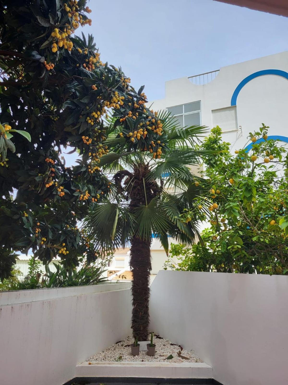 Hostelccportimao Portimão Exterior foto